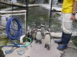 小諸市動物園の写真のサムネイル写真16