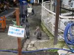 小諸市動物園の写真のサムネイル写真18