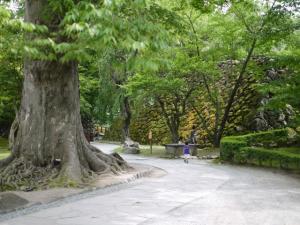 小諸城址 懐古園の写真20