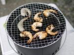 【アウトドア】貸別荘でBBQからの花火！の写真のサムネイル写真7