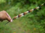 【レポート】長野旅行で出会った動植物！の写真のサムネイル写真38