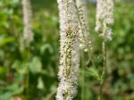 【レポート】長野旅行で出会った動植物！の写真のサムネイル写真48