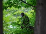 【レポート】長野旅行で出会った動植物！の写真のサムネイル写真63