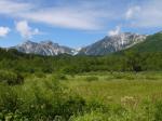 栂池自然園の写真のサムネイル写真41