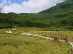 栂池自然園の写真のサムネイル写真75