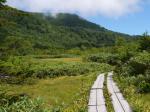 栂池自然園の写真のサムネイル写真82