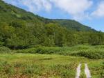 栂池自然園の写真のサムネイル写真87