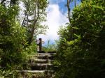 栂池自然園の写真のサムネイル写真90