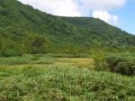 栂池自然園の写真のサムネイル写真106