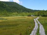 栂池自然園の写真のサムネイル写真107