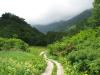 栂池自然園の写真のサムネイル写真24