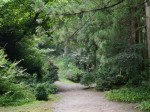 春日山城跡の写真のサムネイル写真6