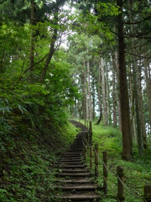 春日山城跡の写真9