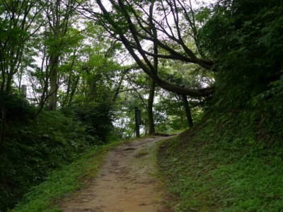 春日山城跡の写真12