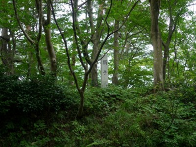 春日山城跡の写真13