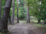 春日山城跡の写真のサムネイル写真16