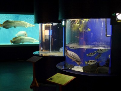 上越市立水族博物館の写真2