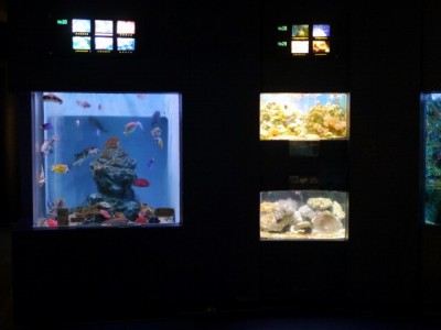 上越市立水族博物館の写真4