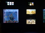 上越市立水族博物館の写真のサムネイル写真4
