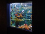 上越市立水族博物館の写真のサムネイル写真5