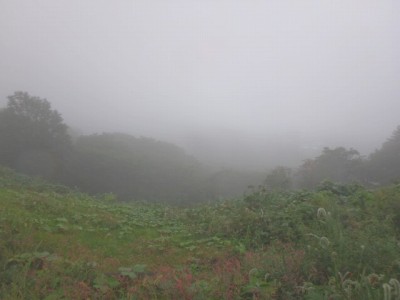 明星山と高浪の池 絶好の撮影スポットの写真2