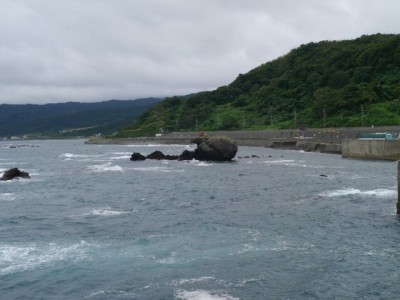 能生海洋公園の写真12