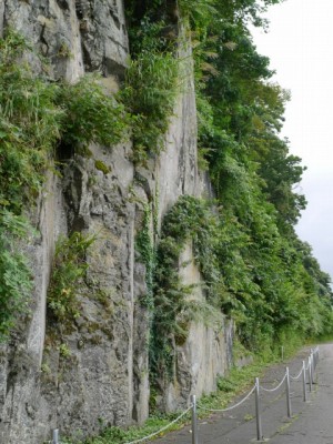 天険 親不知の写真20