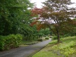 美山公園の写真のサムネイル写真4