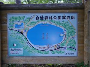 白池森林公園の写真