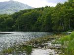 白池森林公園の写真のサムネイル写真14