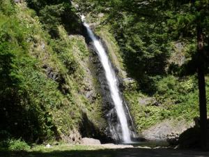 【川遊び】不動滝いこいの里で、川遊び！の写真1