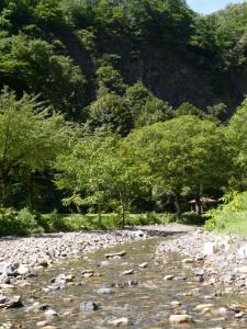 【川遊び】不動滝いこいの里で、川遊び！の写真3