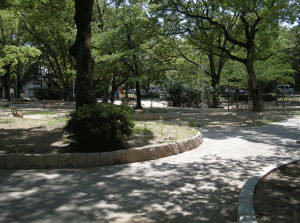 生玉公園の写真