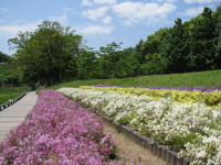 長居公園６