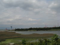 野鳥公園