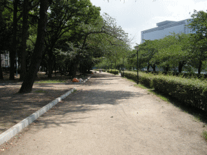 南天満公園の写真