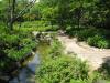 長居植物園の写真のサムネイル写真24