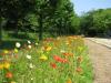 長居植物園の写真のサムネイル写真45