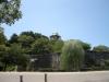 大阪城公園の写真のサムネイル写真14