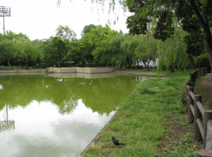 住之江公園の写真