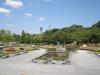 天王寺公園の写真のサムネイル写真3