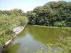 天王寺公園の写真のサムネイル写真24