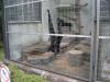 天王寺動物園の写真のサムネイル写真5
