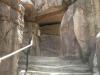 天王寺動物園の写真のサムネイル写真21