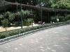 天王寺動物園の写真のサムネイル写真28