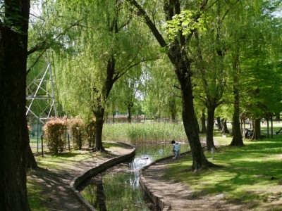 三橋総合公園でザリガニ釣り！！！の写真1