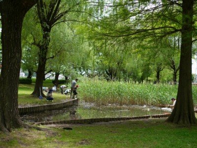 三橋総合公園でザリガニ釣り！！！の写真6
