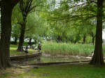 三橋総合公園でザリガニ釣り！！！の写真のサムネイル写真6