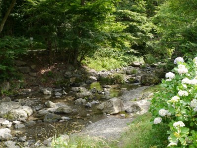 日本の里で川遊び！！！の写真4