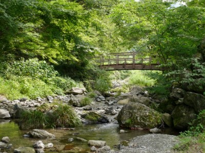 日本の里で川遊び！！！の写真8